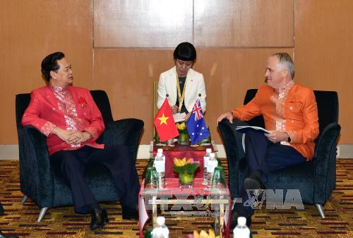 Thủ tướng Nguyễn Tấn Dũng hội kiến Tổng thống Indonesia ảnh 2